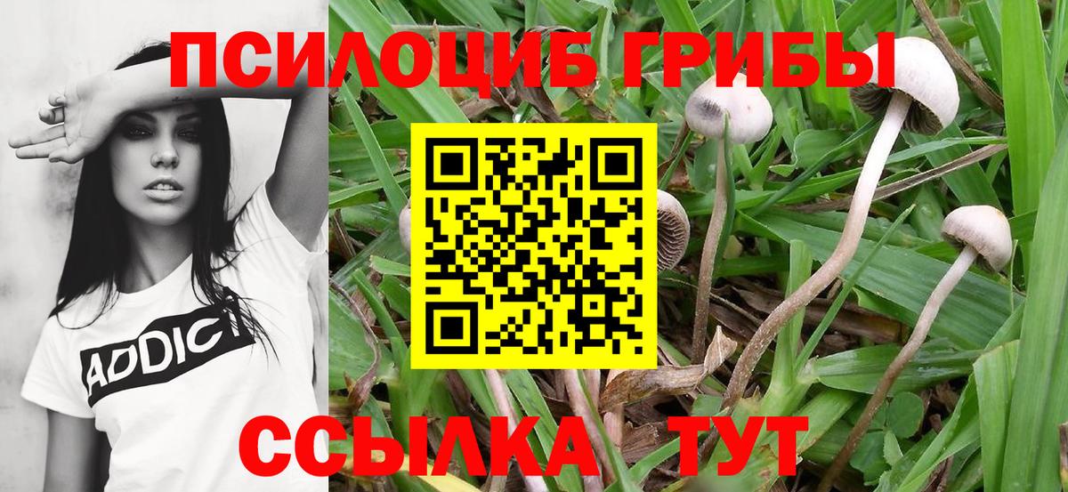 купить  цена  Псилоцибиновые грибы Cubensis  Барабинск  Вход с VPN  Галлюциногенные грибы Psilocybine cubensis 